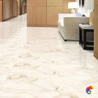 CLOUDY Onyx 60x60 ITC India