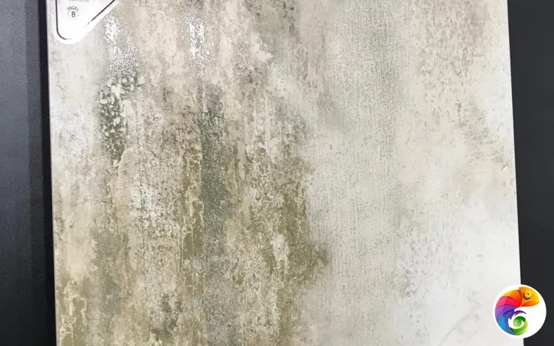 Коллекция ART 60x60 ITC India