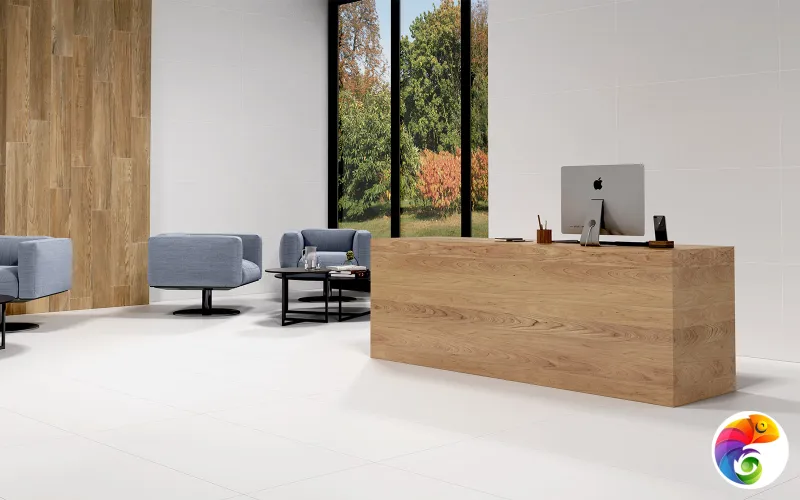 Коллекция ALASKA 60x60 ECOCERAMICA