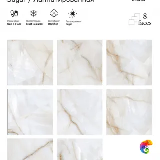 ARISTON Onyx 60x60 ITC India