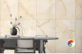 Коллекция ARISTON Onyx 60x60 ITC India