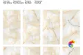 Коллекция ALABASTER 60x120 ITC India