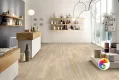 Коллекция DESERT Wood 20x120 ITC India