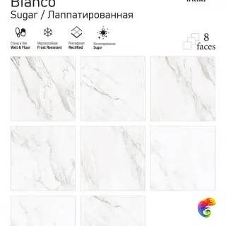STATUARIO CARRARA 60x60 ITC India