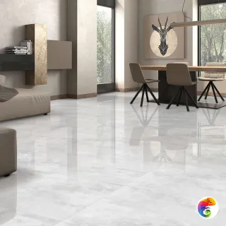 PIZARRO 60x120 ITC India