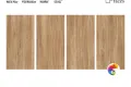 Коллекция MAPLE Wood 60x120 ITC India