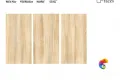 Коллекция DRIFT Wood 60x120 ITC India