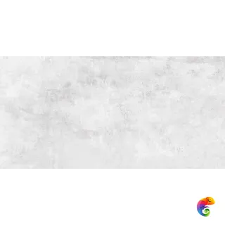 PIZARRO Bianco Carving 60x120