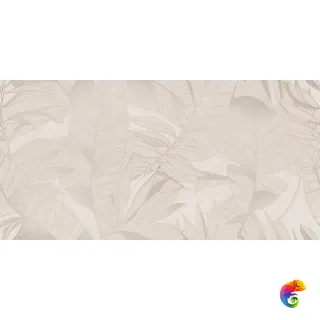DIXON Pearl Decor-2 Porsh Carving 60x120