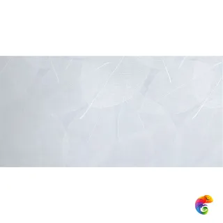 ELEGANZA Sky Arte Carving 60x120