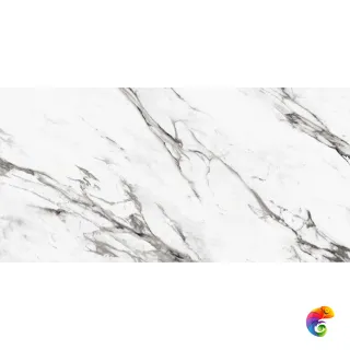 ALCAMO Bianco Polished 60x120