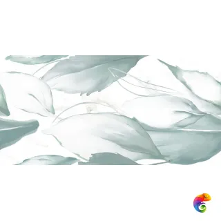 CORTINA Florida Ice Bianco Polished 60x120