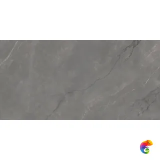 ASTONIA Grey Glossy Golden Line 60x120
