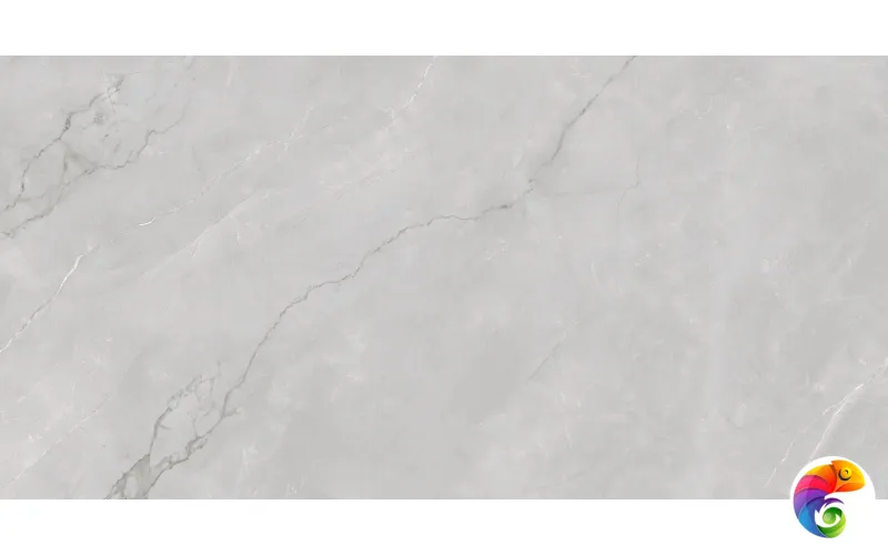 Керамогранит ASTONIA Silver Glossy Silver Line 60x120