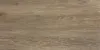 DESERT Wood Oak Carving 60x120