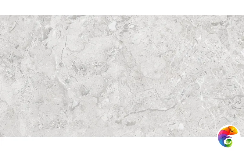 Керамогранит ELEGANCE Grey Glossy Silver Line 60x120