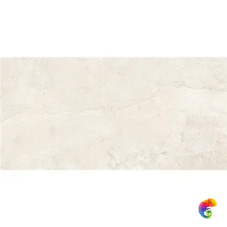 GOBI IVORY MT 60X120 RECT (S-TECH)
