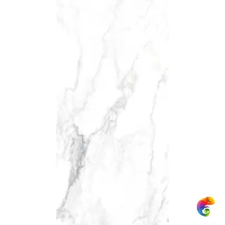 CANOVA ARABESCATO LAP RET 60x120  8,5 мм