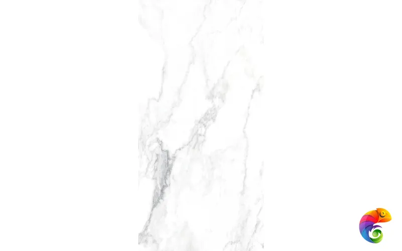 CANOVA ARABESCATO LAP RET 60x120  8,5 мм