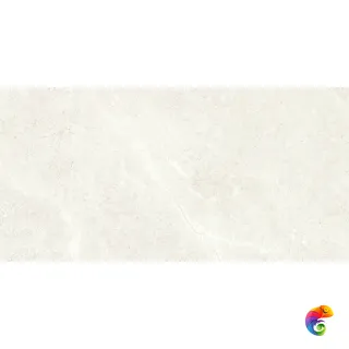 PALERMO BONE 60X120 REC.