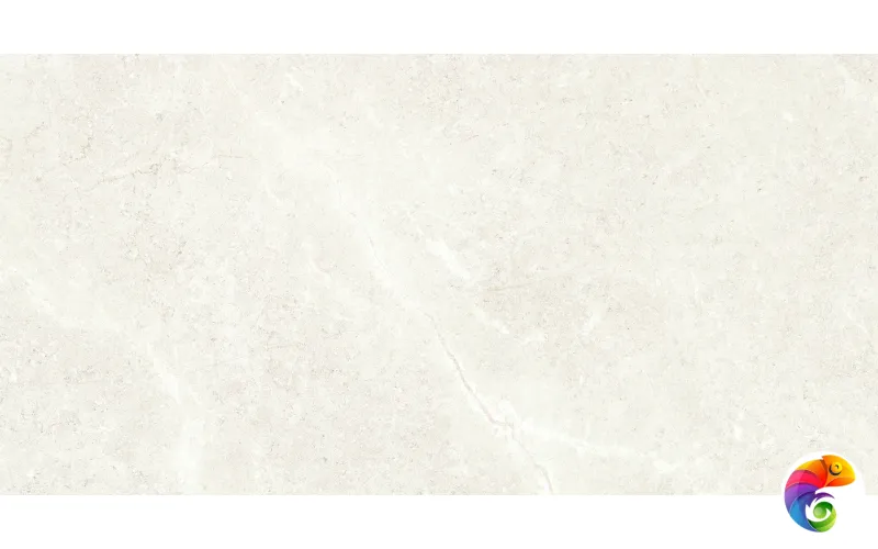 PALERMO BONE 60X120 REC.