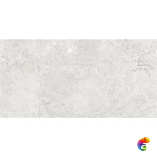 GOBI PEARL MT 60X120 RECT (S-TECH)