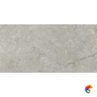 GOBI NATURAL MT 60X120 RECT (S-TECH)