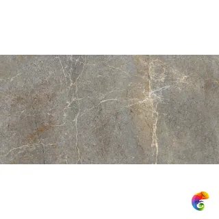 PALERMO TAUPE 60X120 REC.