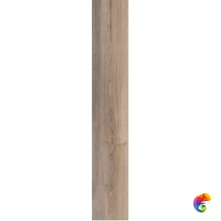 Natural ALMOND 19,7x120