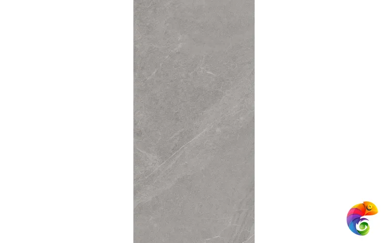 ANGERS AV GREY RET 60x120