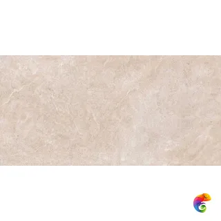 ARLES ARENA 120X260X5,6