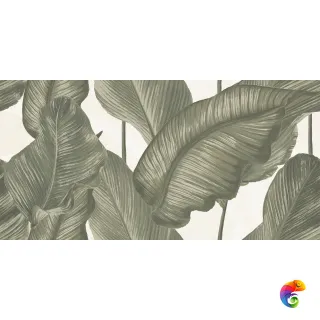 LUDO GIADA DEC BANANO RET 60x120 7 мм