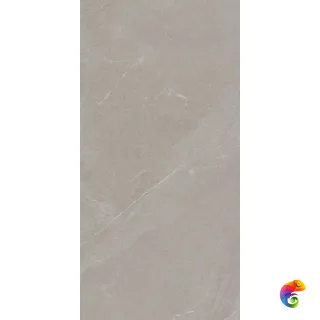 ANGERS AV TAUPE RET 60x120