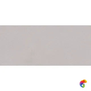 SISLEY GRIS MT 59X120
