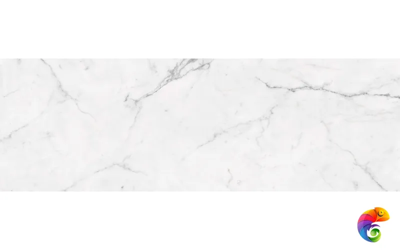 ESTATUARIO POLISHED 100X300X5,6