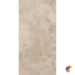 BLOOMSTONE SHELL 60X120 RT