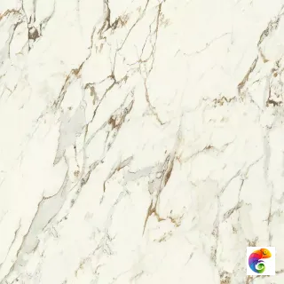 CAPRAIA LUX 60X60 RT