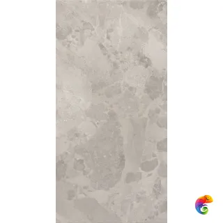 BLOOMSTONE SILT 60X120 RT