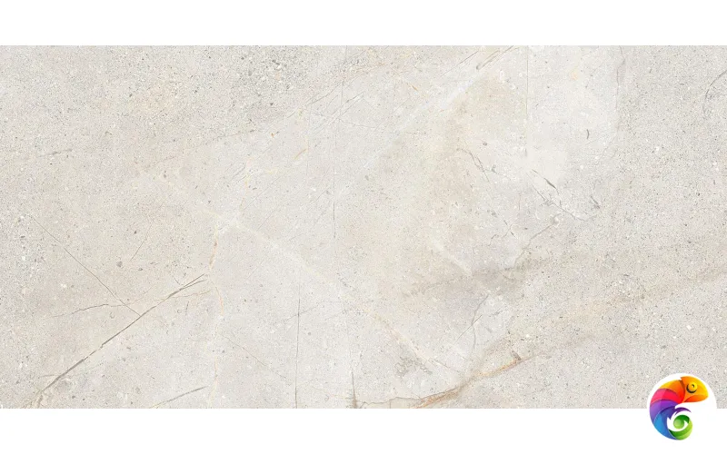 CRUST LIGHT GREY RET 60x120 8,5мм