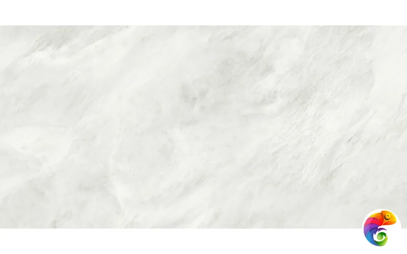 ALEXANDRIA WHITE MATT RECT 60X120