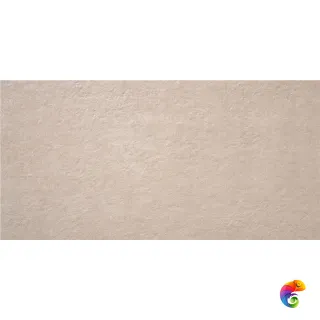 DETROIT TAUPE MT 60X120