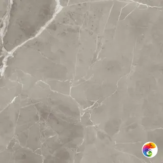 PU.ELEGANT GREIGE LUX 120X120RT