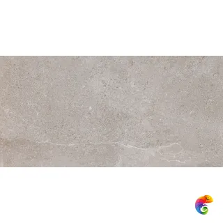 ES.ERDING ASH LUXGLASS 60x120