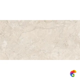 GOBI CREAM  MT 60X120 RECT (S-TECH)