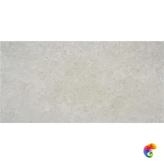 OREGON GREY MT 60X120