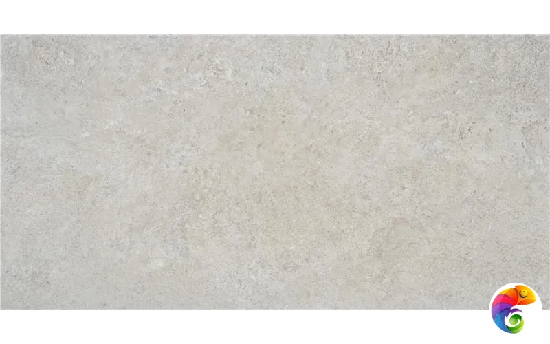 OREGON GREY MT 60X120