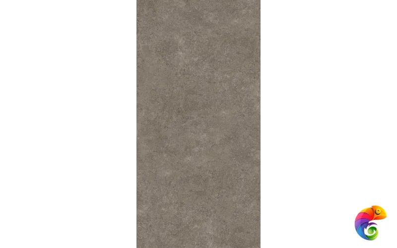 PORFIDO BROWN 60X120 5,6