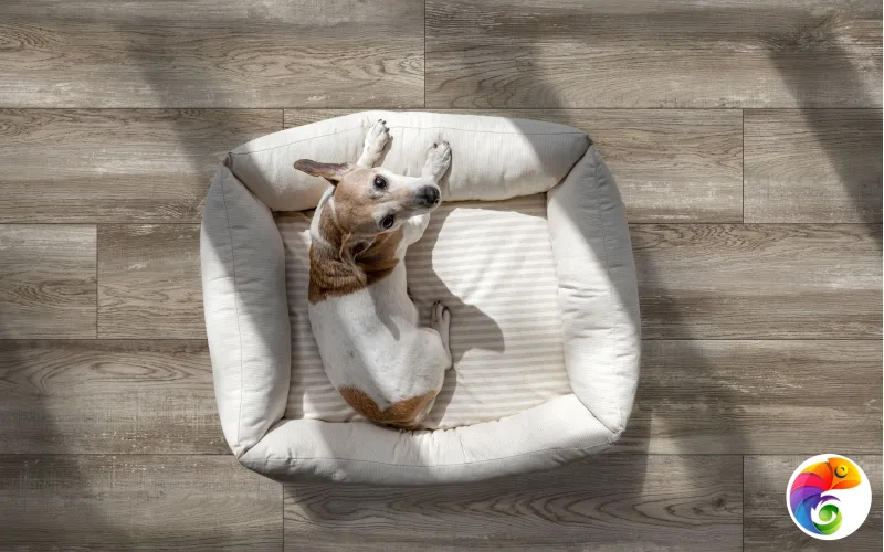 Коллекция Bremen_GT Global Tile