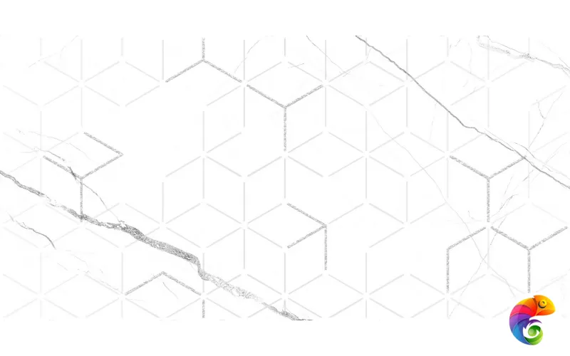 GT124VG Декор кер. Siluet GT Бел. 50*25 _ 1 \7