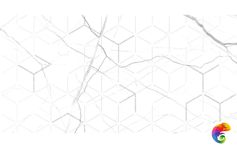 GT124VG Декор кер. Siluet GT Бел. 50*25 _ 1 \7